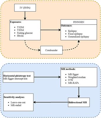 Potential causal association of diabetes mellitus and blood glucose related indexes with the onset of epilepsy: a two-sample Mendelian randomization study